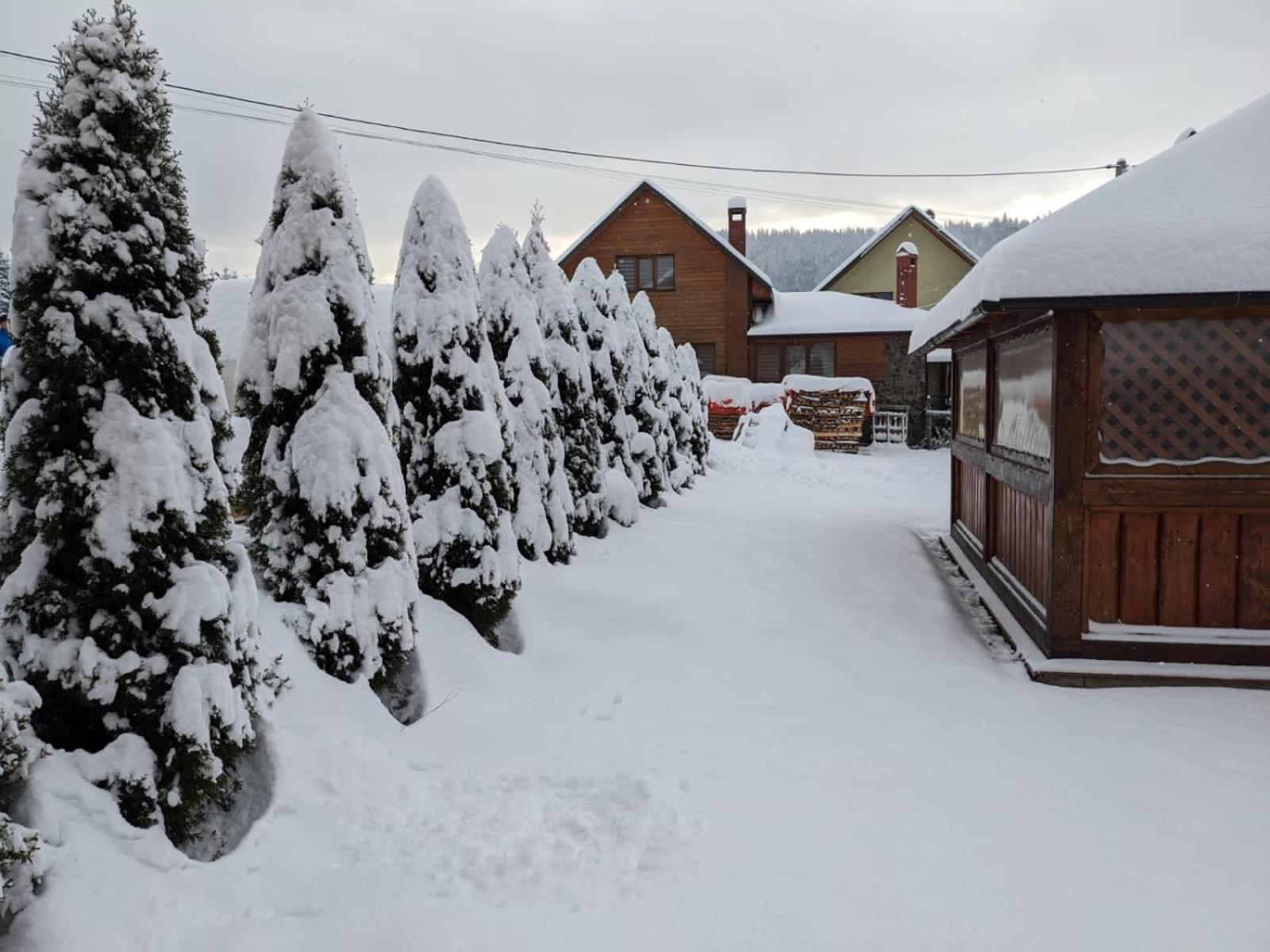 Hotel Aura Karpat à Bukovel Extérieur photo