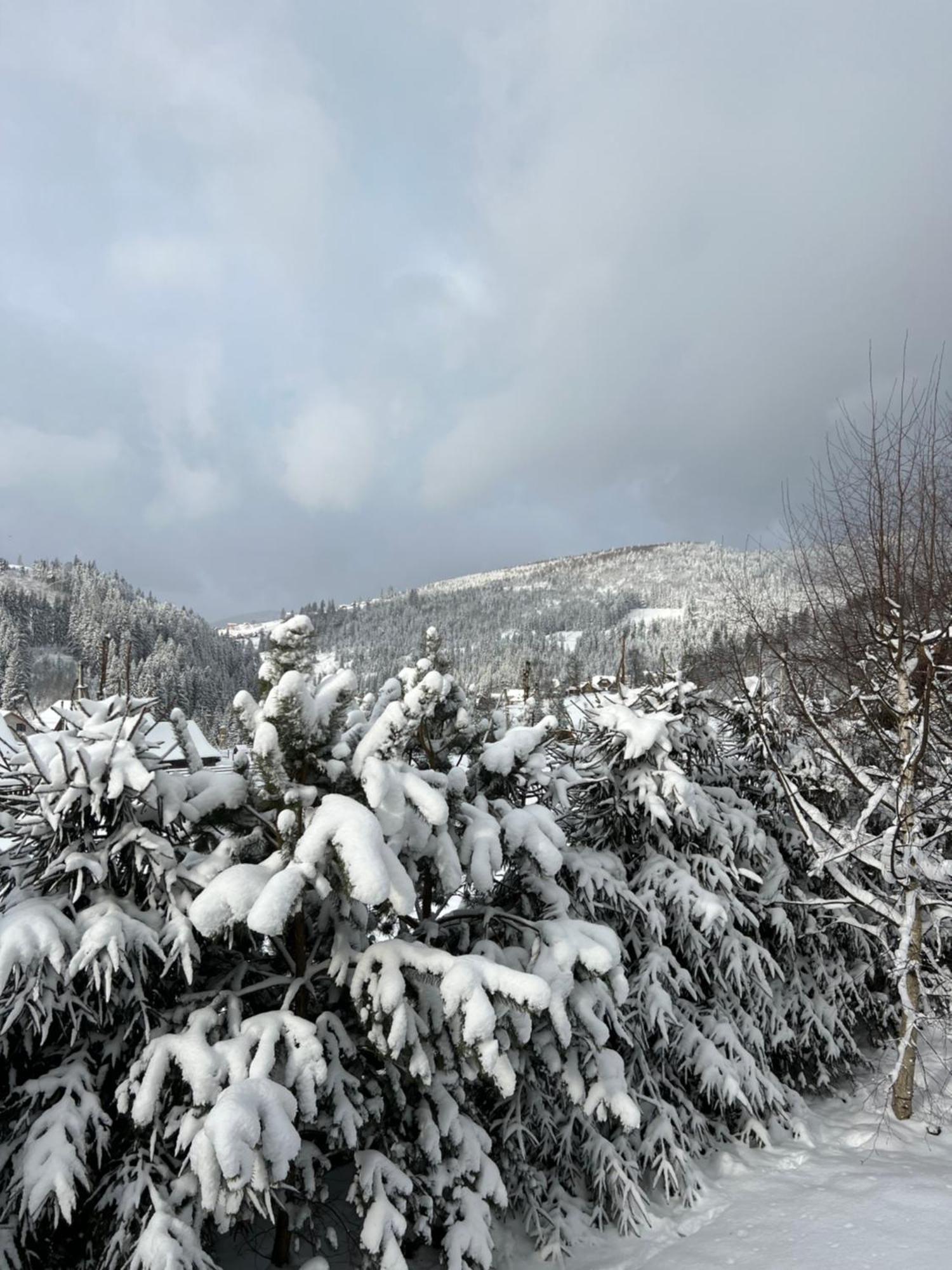 Hotel Aura Karpat à Bukovel Extérieur photo